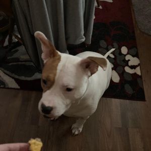 Meet your Posher, Matt